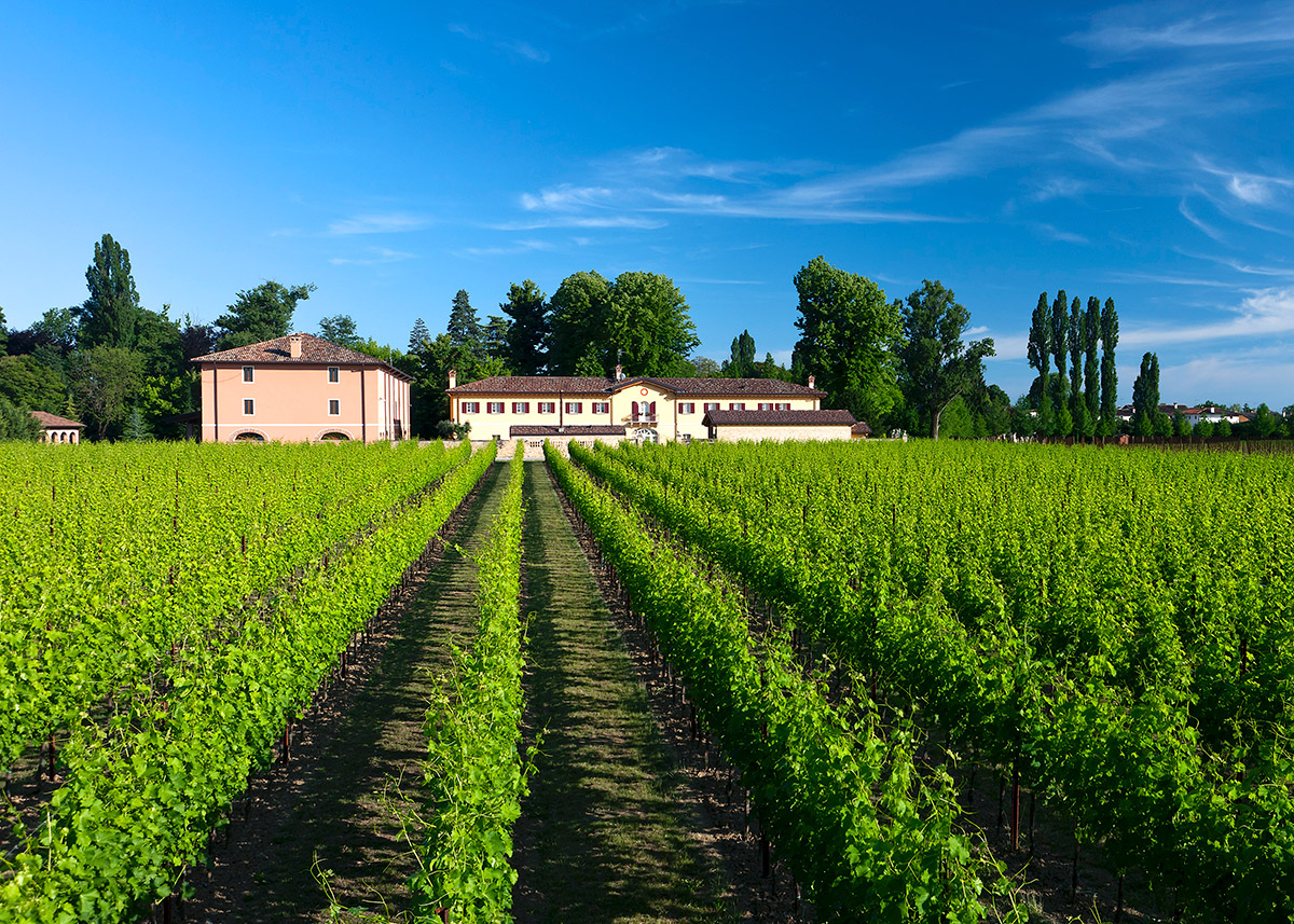 fotto-ca-di-volpe